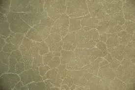 Spider cracks in concrete can look harmless at first glance, but they actually undermine structural integrity if left unchecked. spider cracks in concrete