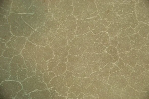 Spider cracks in concrete can look harmless at first glance, but they actually undermine structural integrity if left unchecked. tmp2b53 2etmp tcm45 1007172