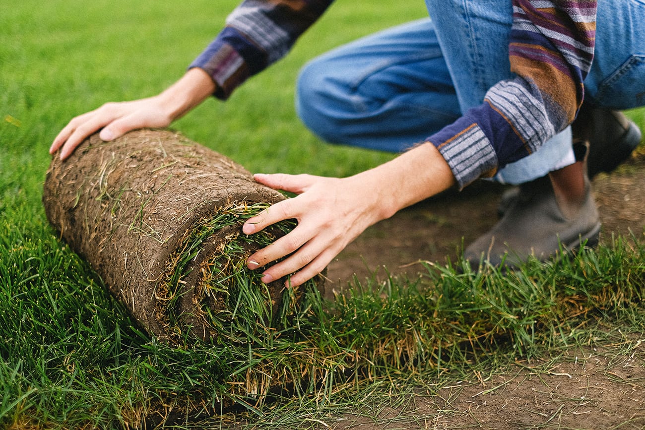 Lorem ipsum dolor sit amet, consectetur adipiscing elit, sed do eiusmod tempor incididunt ut labore et dolore magna aliqua. Posuere ac ut consequat semper viverra. pexels anna shvets 5231236 1